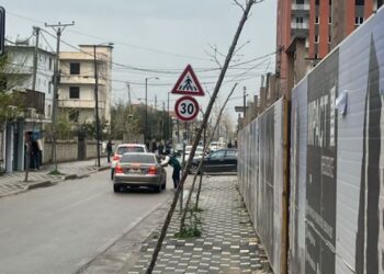Zbardhen detajet, ja si u identifikuan dy autorët e plagosjes në Kamëz