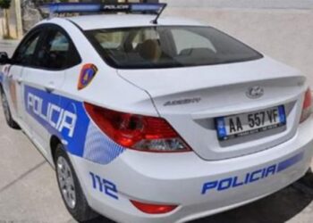 Sherr me sende të forta mes dy familjeve në Kamëz, arrestohen 5 persona