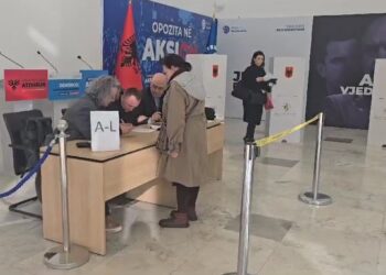 Primaret e PD në Elbasan dhe Fier, ja kandidatët që kanë marrë më shumë vota