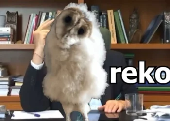 “Demokratët do të marrin shtëpitë”, Rama ironizon deklaratën e Berishës (VIDEO)