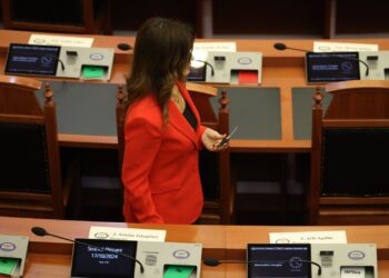 Denoncoi vëllain e deputetes së PD-së se i nxori armën, policia e arreston!
