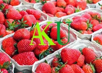 Luleshtrydhe me pesticide nga Greqia, reagon AKU:  Me risk të lartë,  e gjithë sasia rezulton e shitur