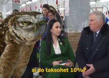VIDEO / Blofi i Berishës me taksimin e dividentit, tallet Rama: Ndizu, fiku llampa e shkretë…