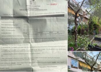 “Kjo nuk është policia bashkiake që na duhet”, shpërthen Braçe: I vendosin qytetarit 200 mijë lekë gjobë se krasiti pemët e veta