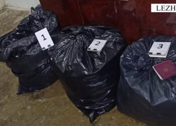 “Droga u fsheh në oborrin e vjehrrit”/ Arrestohet 21-vjeçari në Lezhë, shpallet në kërkim bashkëpunëtori  