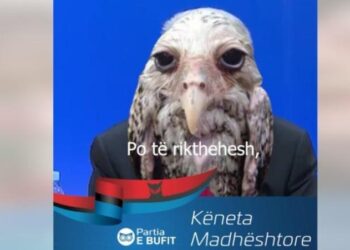 Berisha e akuzon për shpopullim, Rama publikon videon dhe i kujton Otranton: Kur shqiptarët mbyteshin në det duke marrë arratinë nga Shqipëria e bufit