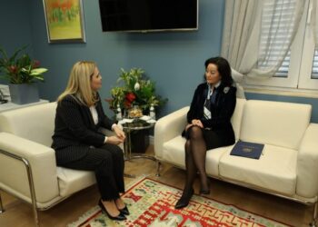 “Kush po të fton ty moj zonjë?”, Kryemadhi rrëfen bisedën e tensionuar me Yuri Kim