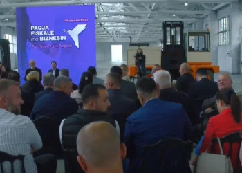 “Pse ma shkel syrin?”, qytetarja i ankohet Ramës, ai i kthehet kryetarit të bashkisë: Mos i bëj presion asaj…