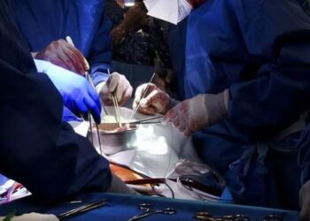 Transplant i rrallë i mëlçisë! 14 orë operacion te një 21-vjeçare me një teknikë të re