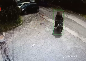 Drogë me postë me nivel të lartë THC nga SHBA në Tiranë, arrestohen 3 shtetas