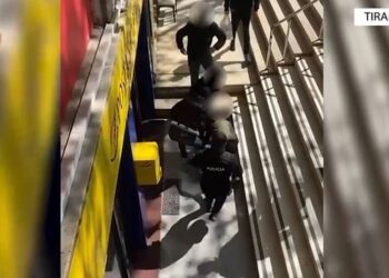 Pako me kanabis nga SHBA, arrestohet porositësi
