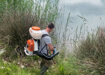 Prag sezoni/ Prania e lartë e mushkonjave, nis dezinfektimi në Shëngjin