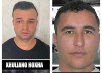 “Plumbi i Artë”, trondit dëshmia: Vrasjen e Otit e porositi Alibej, kishte marrëdhënie me gruan e tij