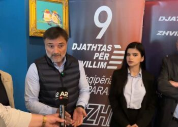 “Shqipëria pre e krimit”, Alibeaj nga Durrësi: Vota për ‘Djathtas për Zhvillim’, është votë për veten tuaj