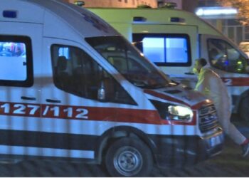 E rëndë në Berat, familjarët gjejnë të varur në pemë 41-vjeçarin. Nisin hetimet për shkakun e ngjarjes