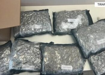 Droga me postë nga SHBA, zbulohen detaje të reja: Ishte nisur nga New York, kap vlerën e…
