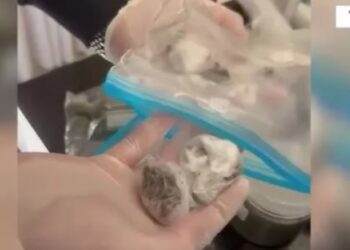 Del nga ‘moda’ droga me postë nga SHBA, policia kupton ‘hilen’, arrestohet në flagrancë një tjetër i ri në Tiranë