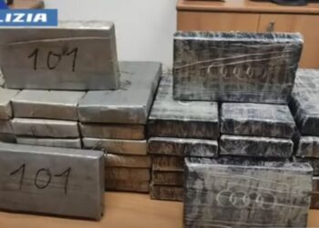 Zbardhen detaje nga megaoperacioni në Itali me 45 arreste, organizata e lidhur me mafien trafikoi…