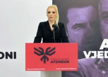 Denoncimi i PD: Në Elbasan polici kthen pronën publike në privat, institucionet mbyllin sytë