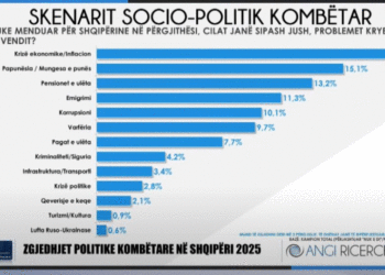 Sondazhi i Angi Ricerche/ Kryeson inflacioni, ja problemet kryesore të vendit