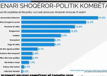 Sondazhi i dytë për zgjedhjet në Real Story/ Cilët janë problemet kryesore të vendit, si janë përgjigjur shqiptarët