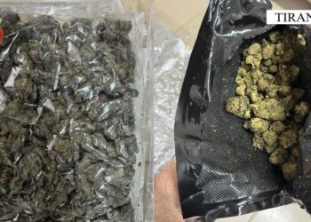 Goditen 2 raste të trafikimit të kanabisit nga SHBA në Tiranë e Elbasan, një i arrestuar, një në kërkim