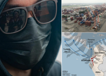 “Lër punën ose vdis”, rruga kryesore e trafikut të kokainës për në Europë. Po roli i shqiptarëve?