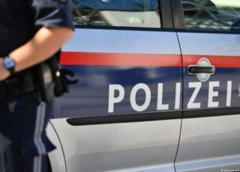 Skenar filmi në Austri/ Shqiptari i vodhi 102.000 euro agjentit të infiltruar, dënohet me burg