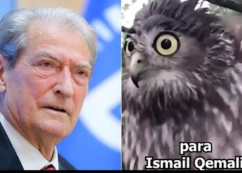Rama ironizon Berishën me videon e një bufi: Kë do të largojë? Latifin që i mori para dhe s’i gjeti një copë sapun për të larë katranin e listës së zezë
