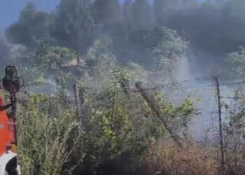 Zjarr në Lazarat, flakët rrezikojnë banesat