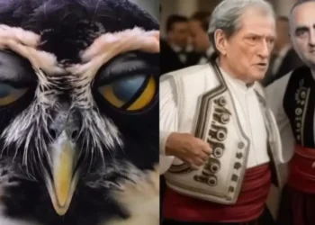 Duke kërcyer krah Fredi Belerit me muzikë greke, Rama ironizon Berishën me një video të krijuar nga Inteligjenca Artificiale
