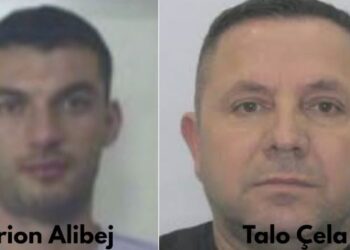“Vetëm Suel Çela bën këto masakra!”/ Alibej: Për vrasjen e vëllait dyshimet janë për Franc dhe Hajdar Çopja, ata qanë në varrimin e Endritit! Përdorën Talo Çelën