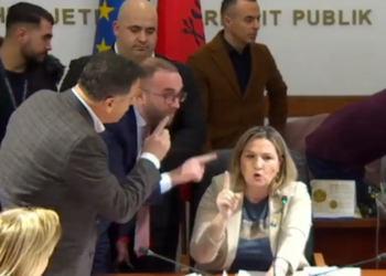 Açka: Gazment Bardhi e Flamur Noka, si spermatozoidë të tërbuar