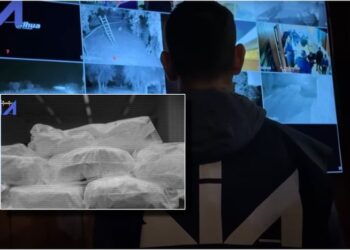 I penduari i drejtësisë tregon si transportohej droga nga Shqipëria me karroca invalidësh
