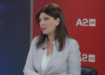 Partia Demokratike si Interi, Topalli: Zhytet prej vështirësive, por në fund fiton