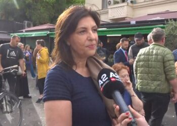 A do të kërkohet dorëheqja e Berishës? Topalli: Të mos marrim vendime të nxituara në kohë mërzie