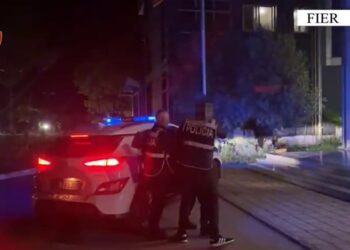 Kreu 4 vjedhje brenda natës në subjekte tregtare, arrestohet 28-vjeçari në Fier