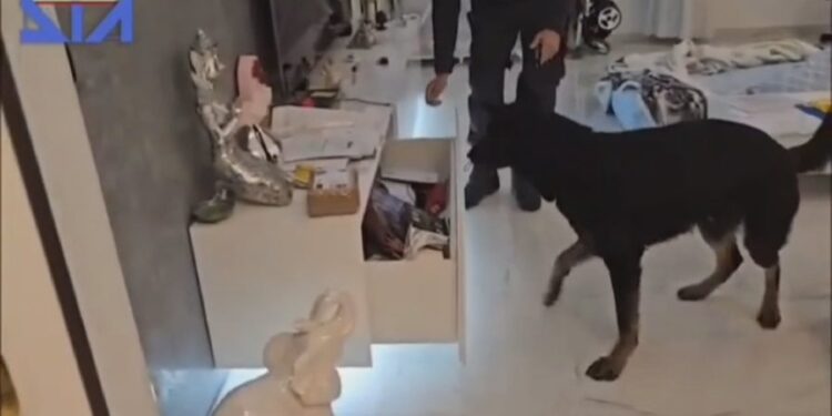 Operacioni “Ura”, i kërkuar në Itali për trafik droge, kapet shqiptari në Belgjikë