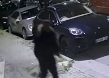 Krisma dhe njerëz që vrapojnë, publikohet VIDEO e atentatit në Durrës ku u vra Ermir Dedja