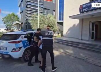 Tentoi të vrasë me sëpatë një person në Fier, pastaj u nis drejt Greqisë, arrestohet nga policia 40-vjeçari