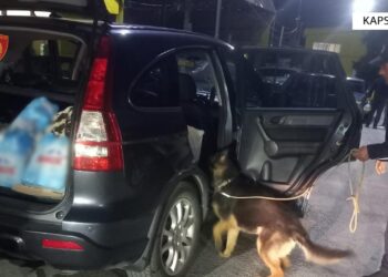 Tentoi të fuste cigare dhe produkte kontrabandë në Shqipëri, arrestohet 48-vjeçari në Kapshticë