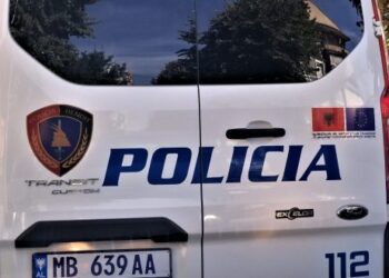 Plagosja me armë zjarri e Sidi Velajt në Orikum, arrestohet një nga autorët