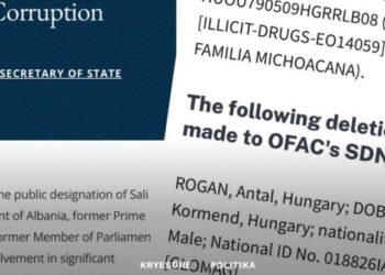Heqja e “non gratave”. Ku ndryshon rasti i Berishës me atë të zyrtarit hungarez