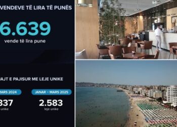 Bizneset kërkojnë punëtorë, mungesat më të mëdha në turizëm dhe ndërtim