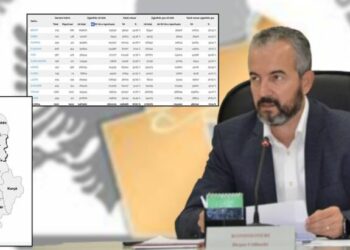 Celibashi: Ja kur do të publikohet rezultati i numërimit elektronik në Bashkinë e Vorës dhe Njësinë 10