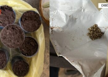 Vodhi çantën me një shumë të madhe parash brenda, vihet në pranga 32-vjeçari në Dibër! Në banesën e tij gjenden…