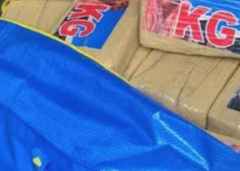 Operacion i përbashkët në Itali dhe Belgjikë/ Europol: Arrestohen 14 trafikantë kokaine