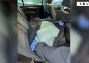 Arrestohen dy persona, u kapën me 59 pako me kanabis në Thumanë