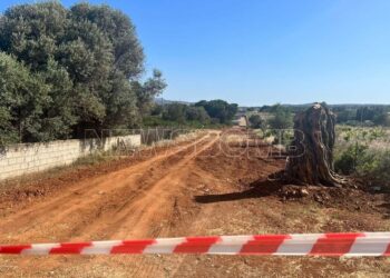 Zbardhet emri i shqiptarit që u ekzekutua në Greqi, viktima me precedentë penalë! Gruaja e tij dyshohet se…