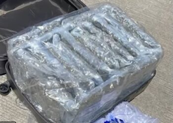 Drogë me postë! Kapet valixhja me 19 kilogramë hashash, ishte nisur nga Tailanda në Tiranë